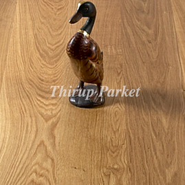 Eg Europæisk Plank, Natur/select sortering Natur Olie
